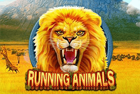 Running Animals