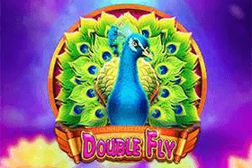 Double Fly