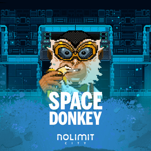 Space Donkey